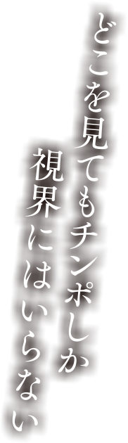 どこを見てもチンポしか視界にはいらない